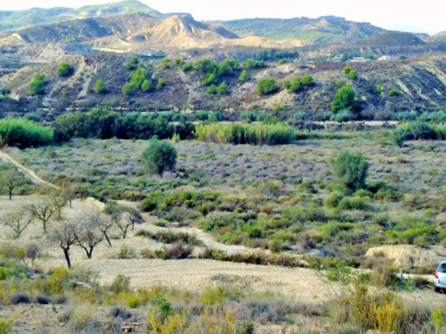 TPS0076: Land for sale in Torremendo